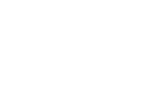 CeloPay logo